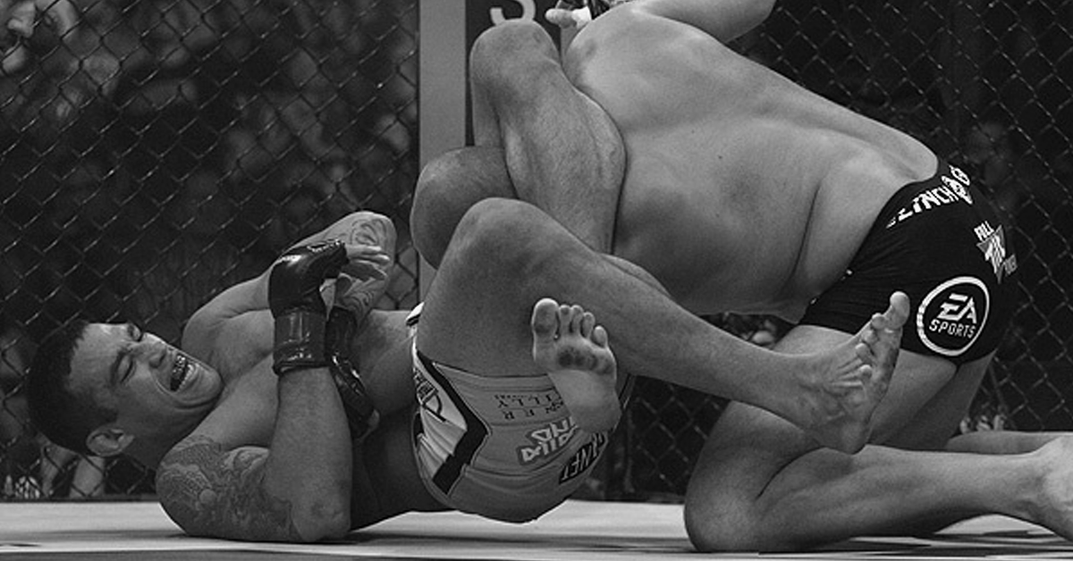 Fabricio Werdum Fedor Emelianenko rematch UFC fight island gustafsson free agent