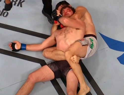 World MMA Awards: Is Demian Maia’s rear-naked choke against Ben Askren your Submission of the Year?