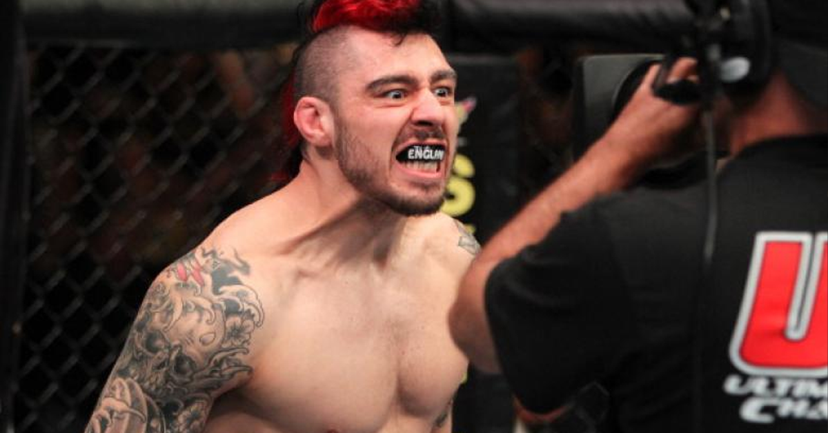 Dan Hardy releases statement after release from UFC commentary role –  Fighters Only